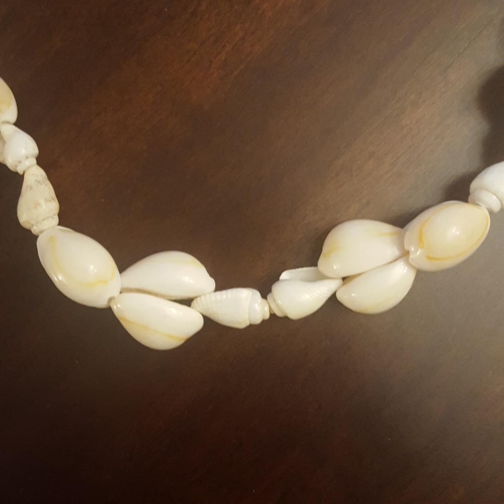 Shell Necklace - Picture 2 of 2
